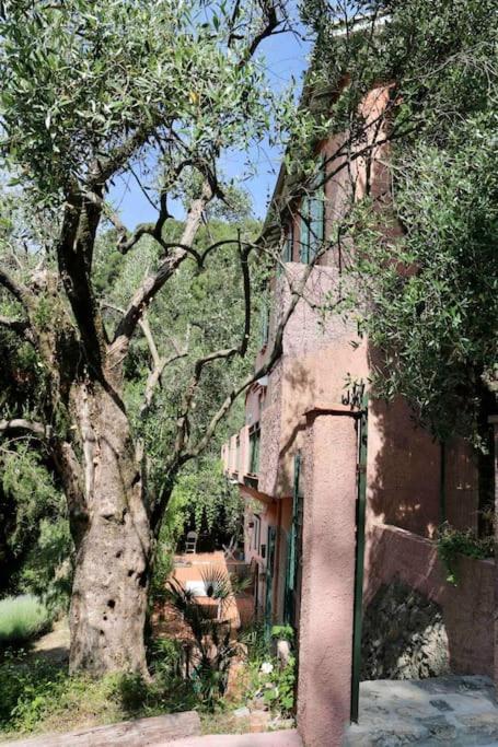 Mas Thomasine Sejour Romantique Au Calme Peillon Exterior foto