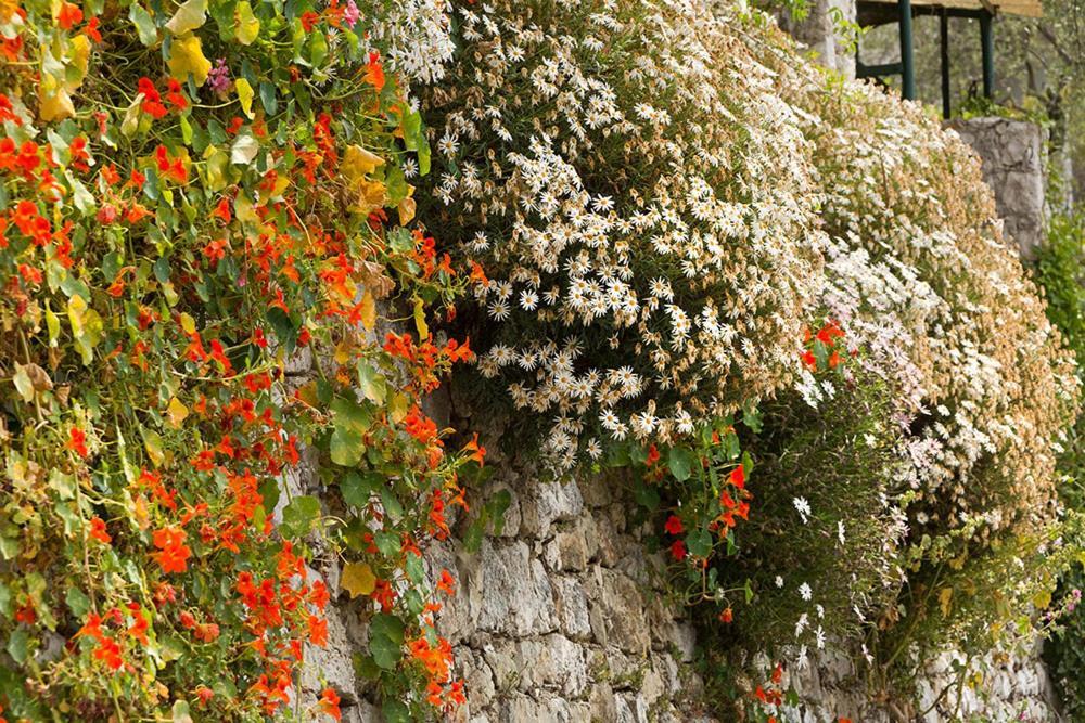 Mas Thomasine Sejour Romantique Au Calme Peillon Exterior foto
